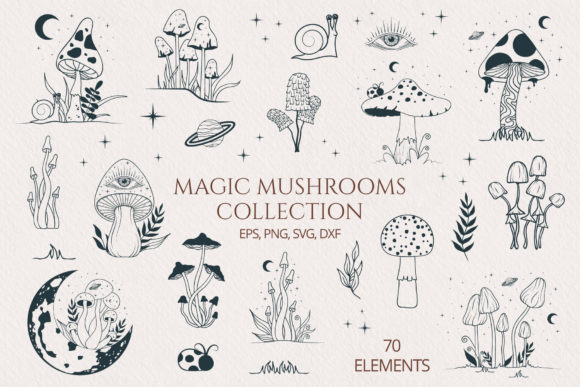 Download Hand Drawn Magic Mushrooms Collection - Mushrooms Collection