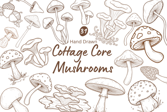 Download 31 Hand Drawn Cottagecore Mushrooms - Premium Bundle