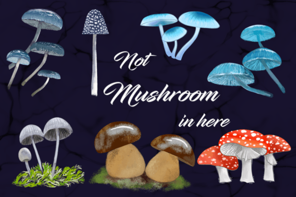 Download Mushrooms - Premium Bundle